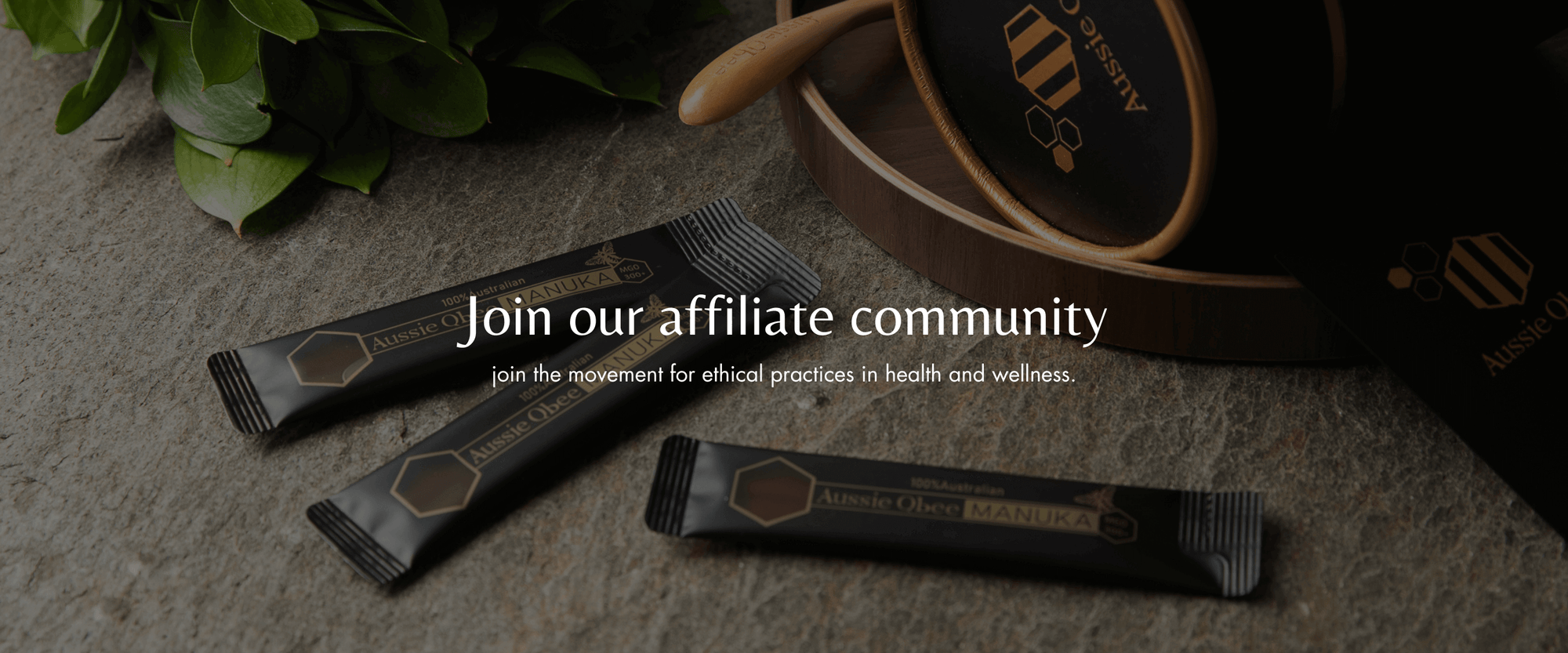 Affiliate program banner